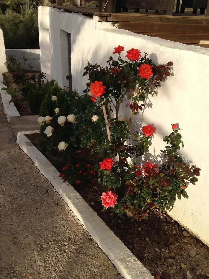 Bed and Breakfast Casa El Castano Martos 0*,