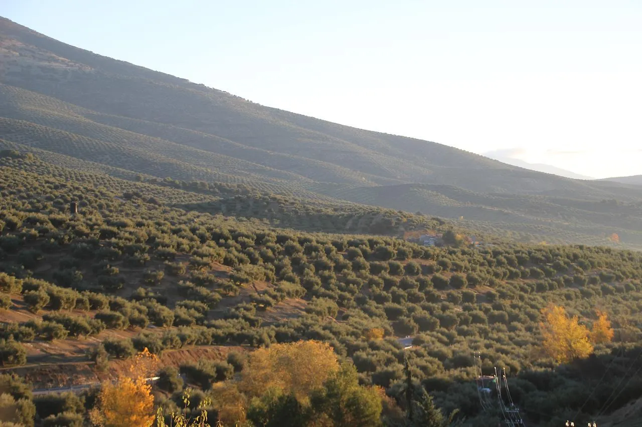 Bed and Breakfast Casa El Castano Martos 0*,