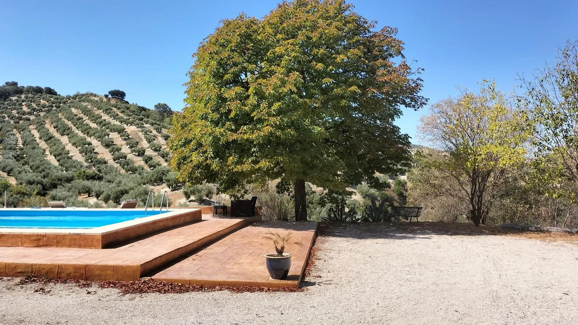 לינה וארוחת בוקר מרטוס Casa El Castano ספרד