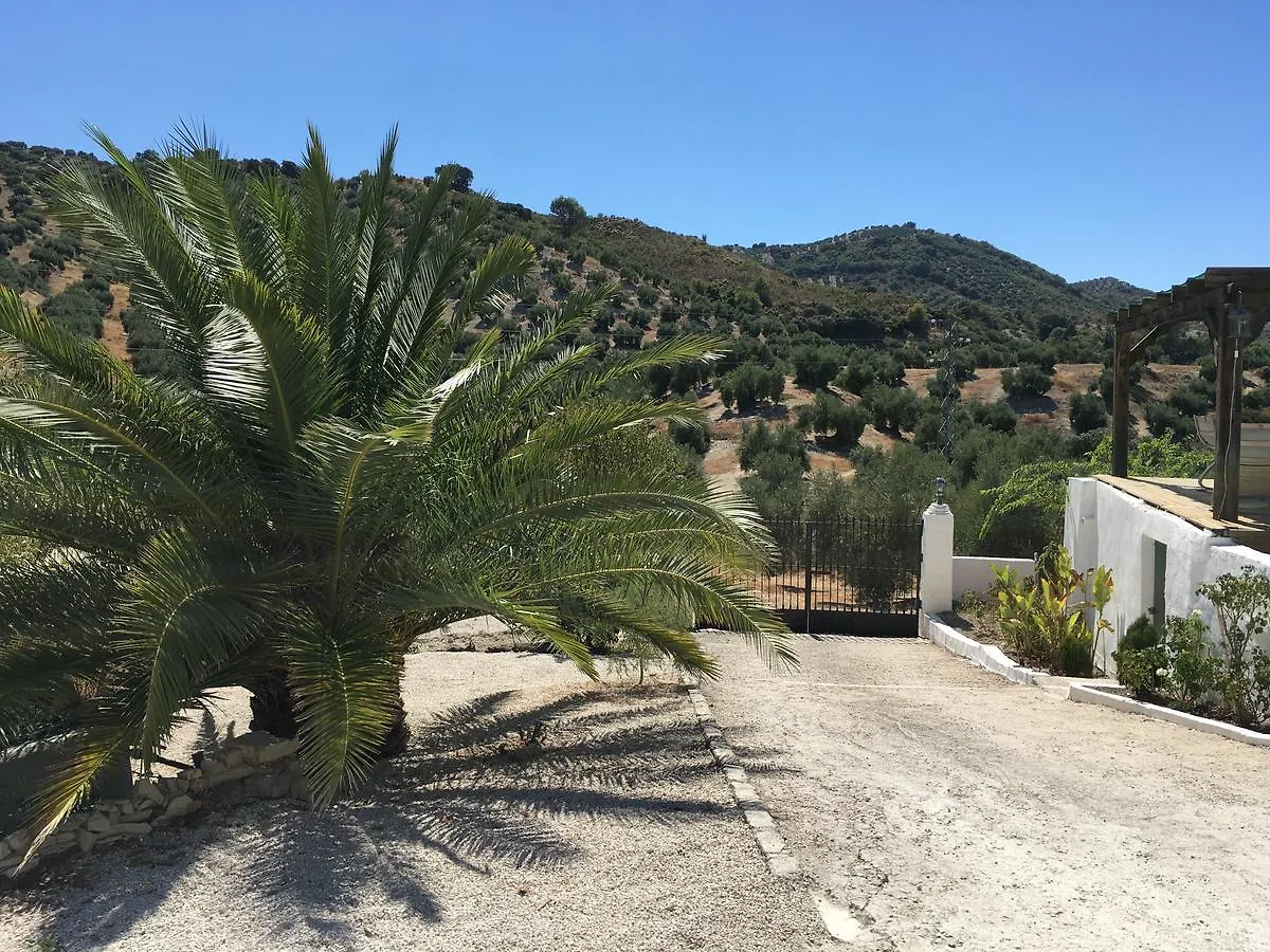 לינה וארוחת בוקר מרטוס Casa El Castano