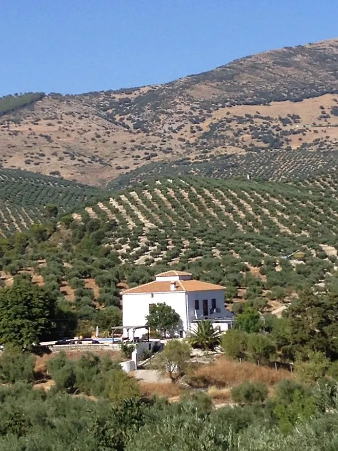 לינה וארוחת בוקר מרטוס Casa El Castano